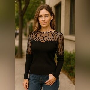 Elegant Black Sheer Top